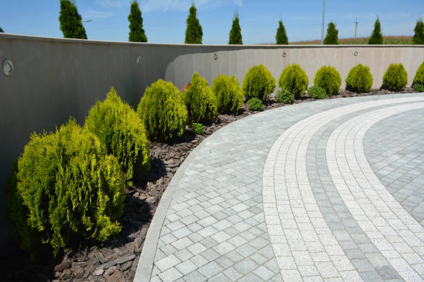 Best Custom Driveway Pavers  in Obion, TN
